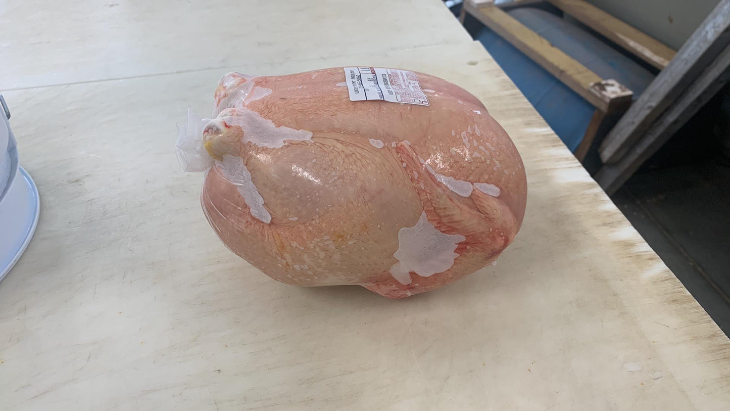 Whole chicken processed and vacuumed pack